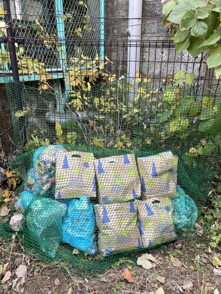 ゴミ拾い納め画像