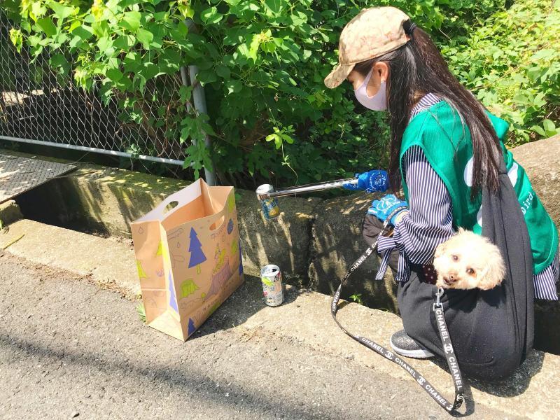 「夏」が来たって感じです画像