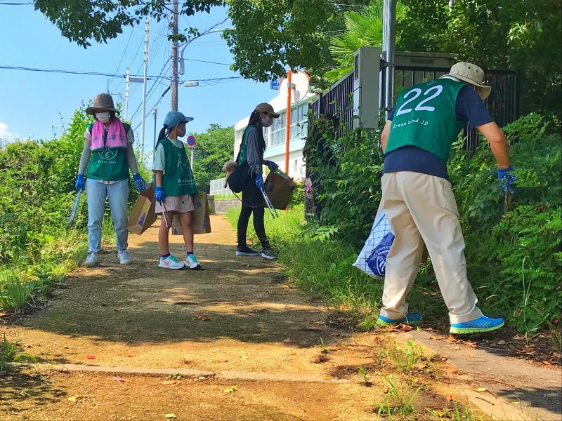 「夏」が来たって感じです画像