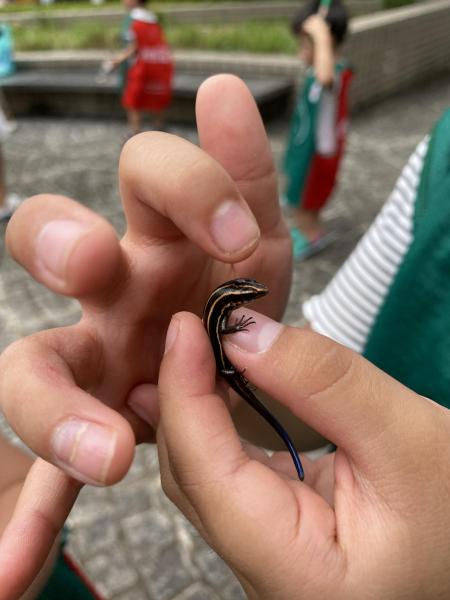 8/22 暑さの中お掃除画像