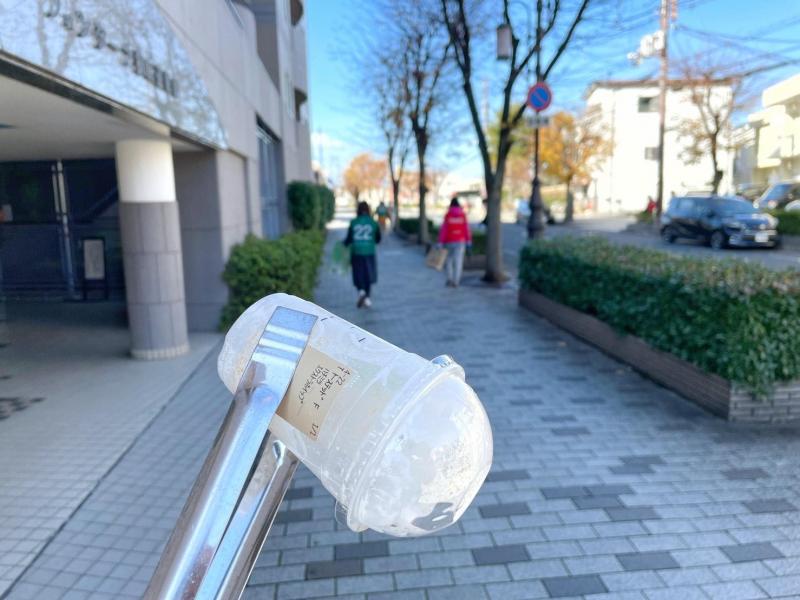 紅葉と青い空と緑のビブスと画像