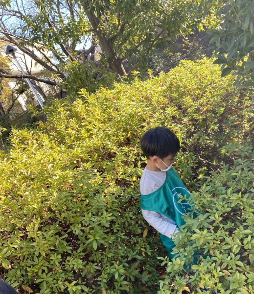 新年明けましておめでとうございます画像