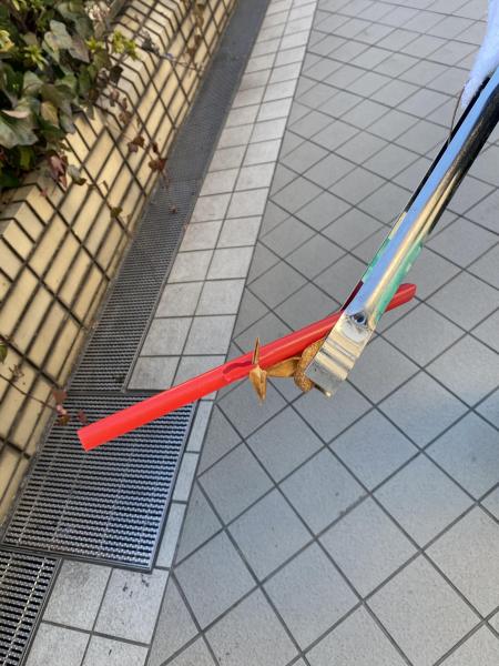 新年明けましておめでとうございます画像