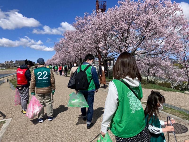 狭山池の桜が綺麗です‼画像