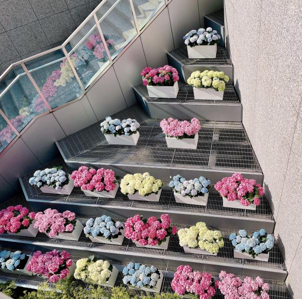 ミニマルに、濃厚に。画像