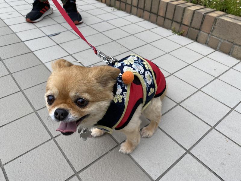 多世代でお掃除画像