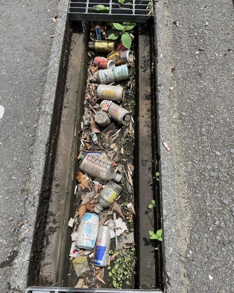 排水溝リベンジ画像