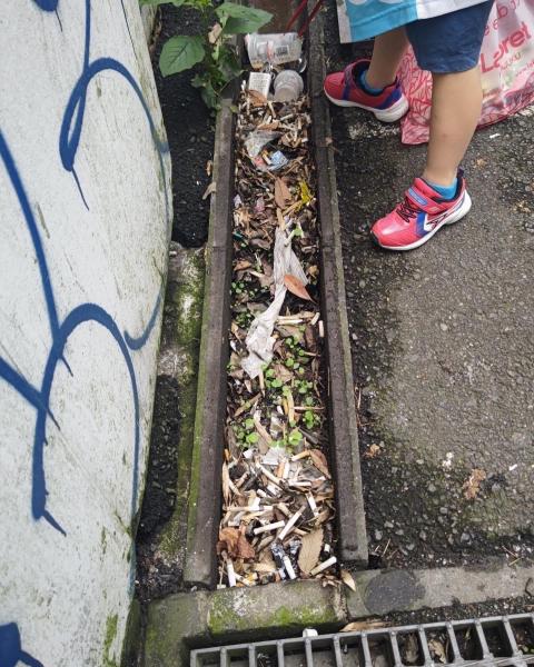 排水溝リベンジ画像