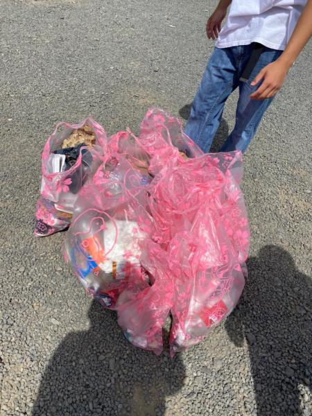 フィジーチーム第29回ボランティア活動画像