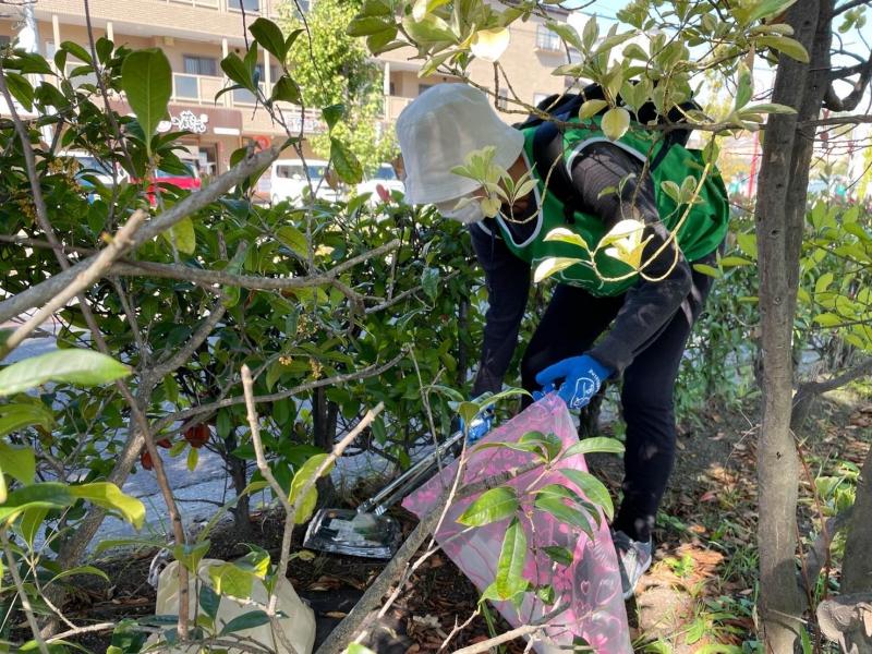 ごみ拾い日和。運動会日和画像