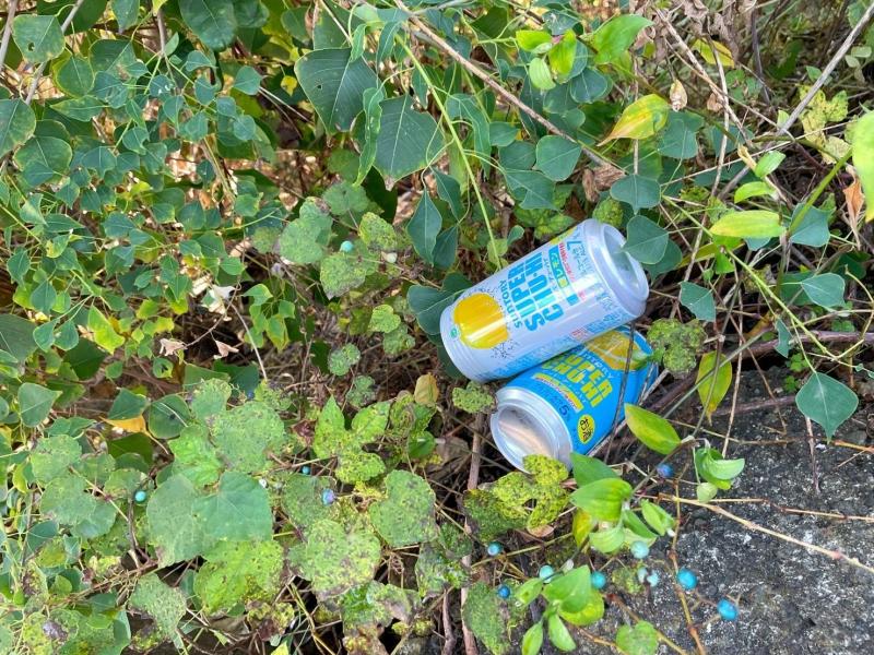 秋のごみ拾いは最高画像