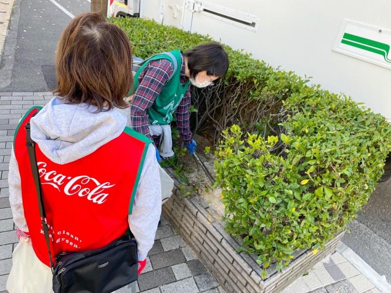 落ち葉にまぎれたごみを探して画像