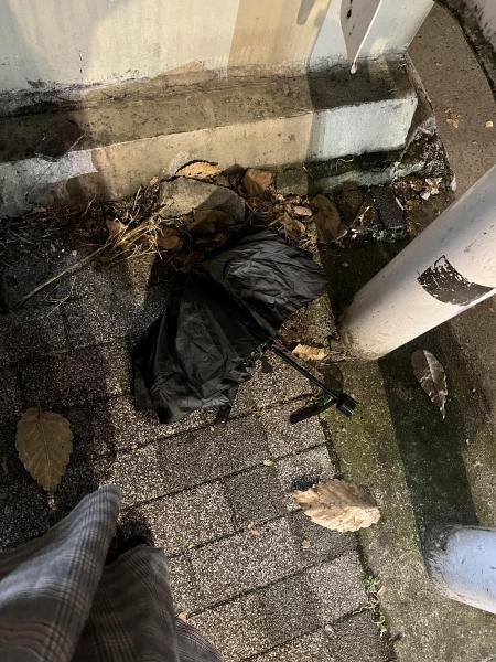 池袋【学生限定】そうじ！画像