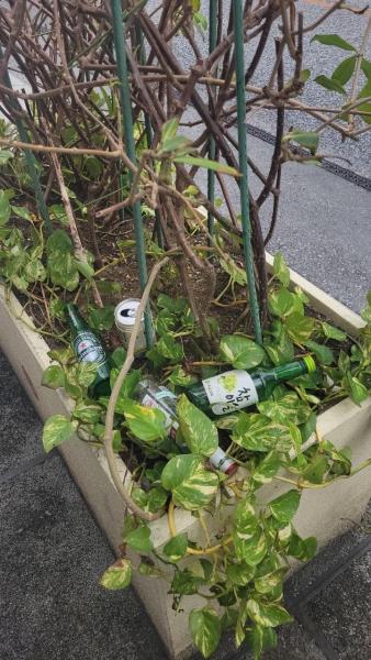 【沖縄那覇】初！ほこてんおそうじDAY！画像