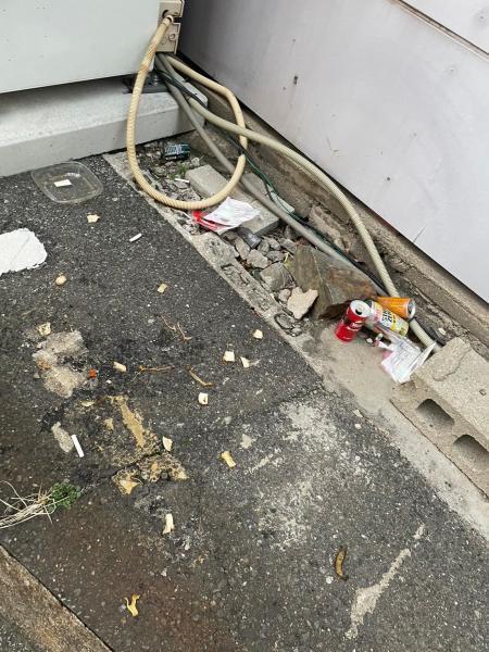 【定例】小倉はばたき活動画像