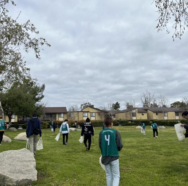 Second cleaning day画像