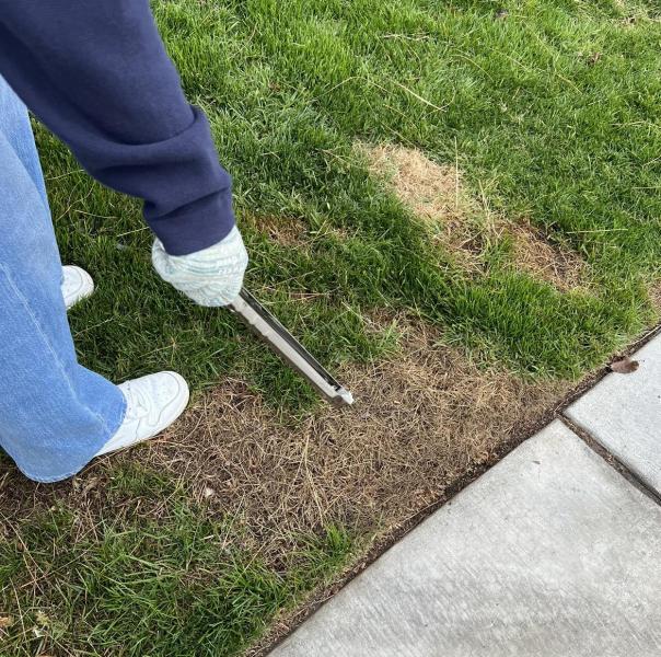 Second cleaning day画像