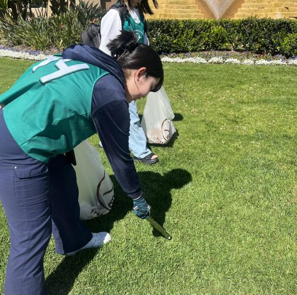 Third clean up day画像