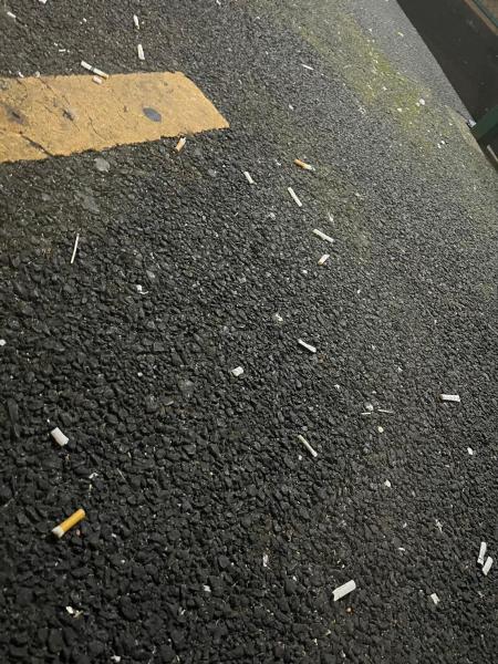 池袋学生そうじ画像