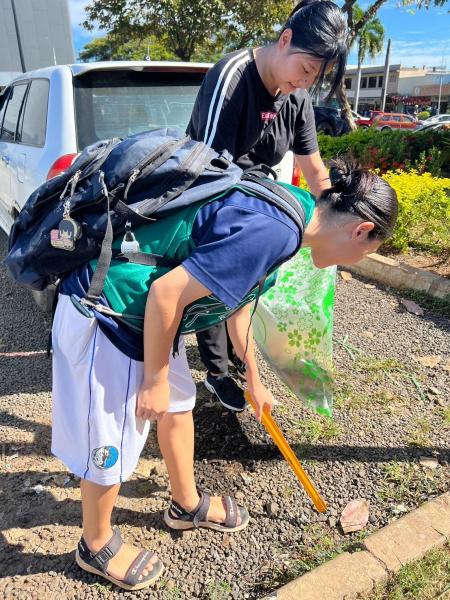 フィジーチーム第35回ボランティア活動画像