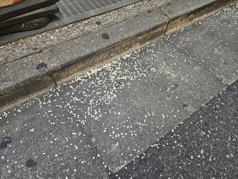 視察か！？画像