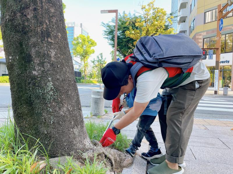 あんな道、こんな道画像