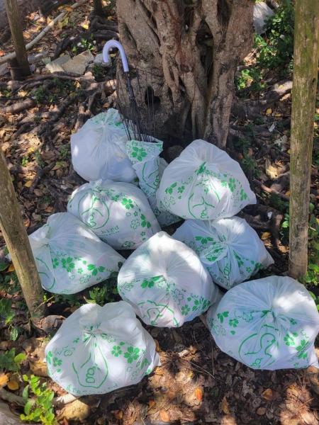 【沖縄那覇】第51回　灼熱！歩行者天国おそうじ！画像