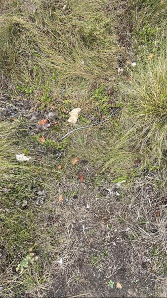 新ルート開拓!!!画像