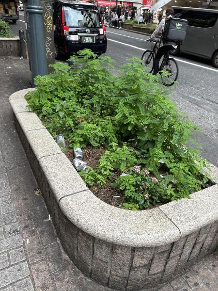 渋谷OEC_vol.2画像