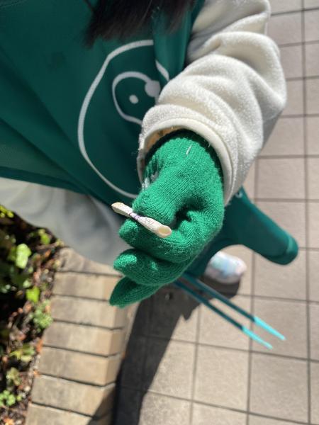 今日からイルミネーション点灯画像