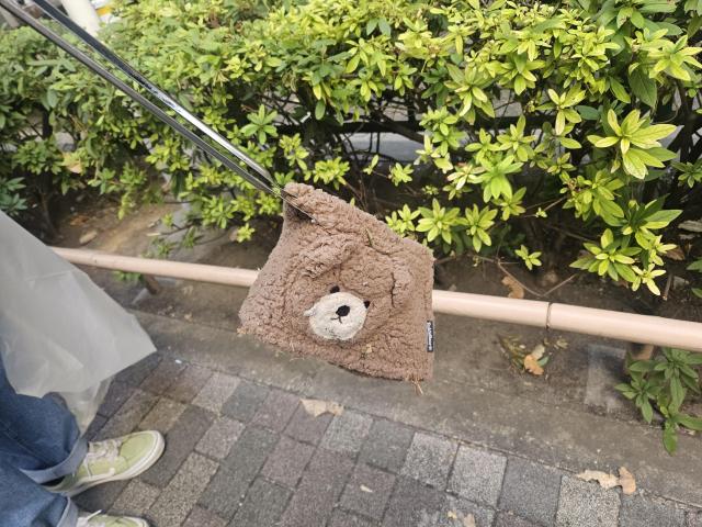 みてみて！どんぐり！！