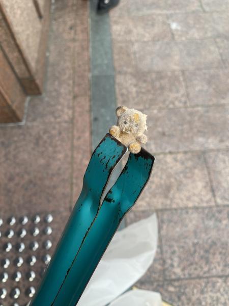 3週間ぶりに徳を積みました☆朝そうじ画像