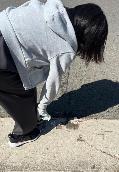 今年4回目のお掃除日！画像