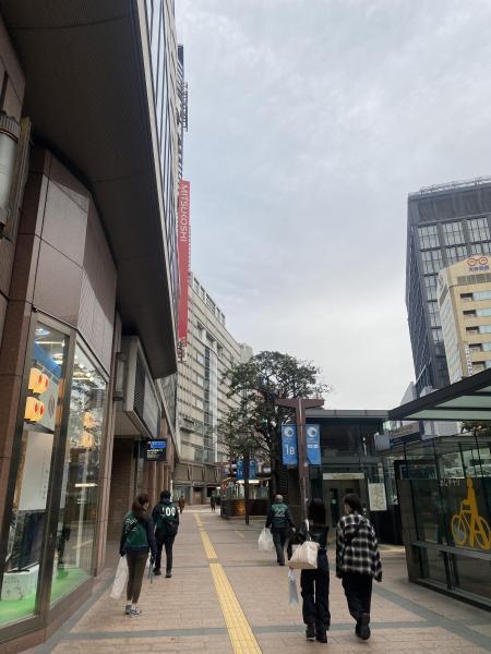 桜が咲かずにさくらまつり春になりました⭐︎朝そうじ画像