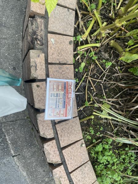 桜が咲かずにさくらまつり春になりました⭐︎朝そうじ画像