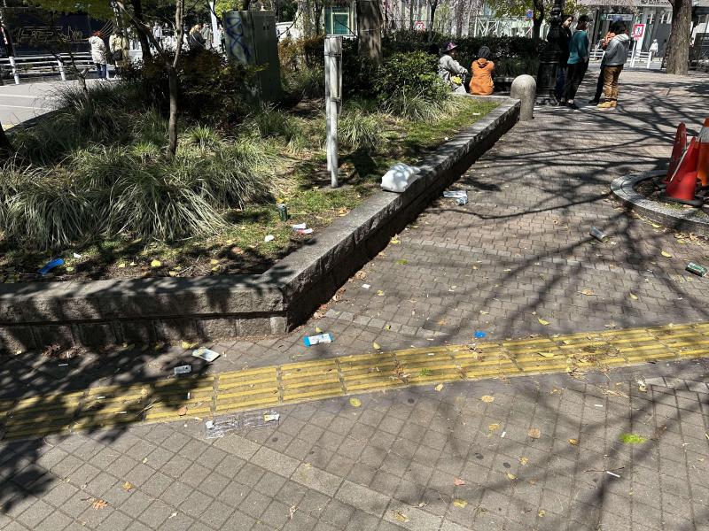 今までで一番公園が汚かったかもしれない日...画像