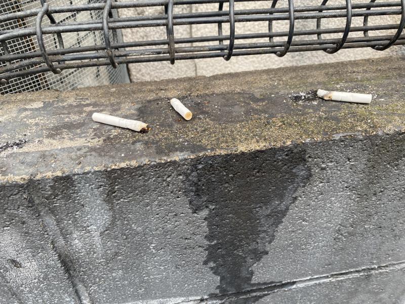 1人増えた☆朝そうじ画像