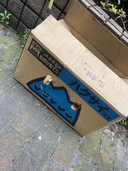 1人増えた☆朝そうじ画像