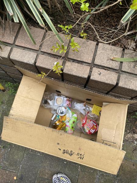 1人増えた☆朝そうじ画像