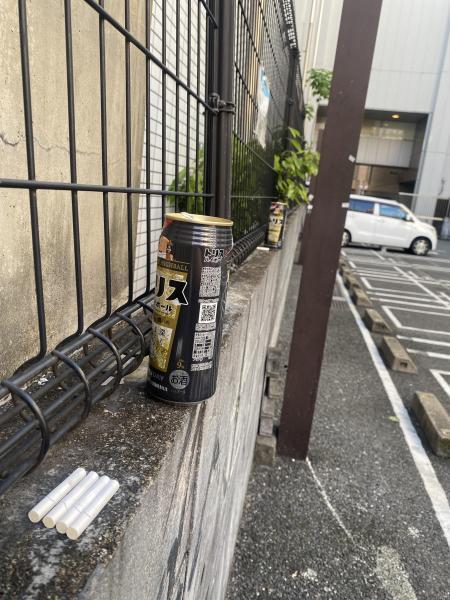 青空キレイな☆朝そうじ画像