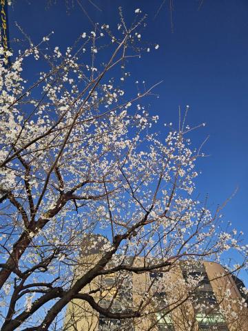 新リーダーにバトンタッチ！（順次）