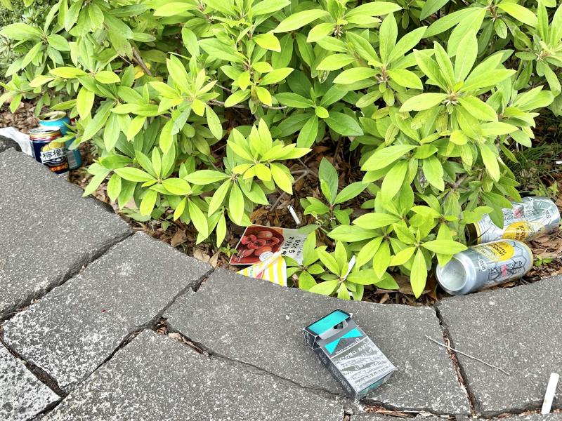 プレオープンのハラカドでランチ！画像