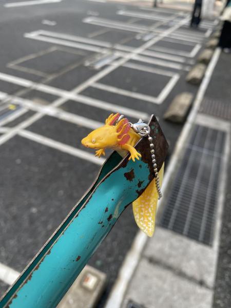 AVEDAさんが今年も来てくれました☆朝そうじ画像