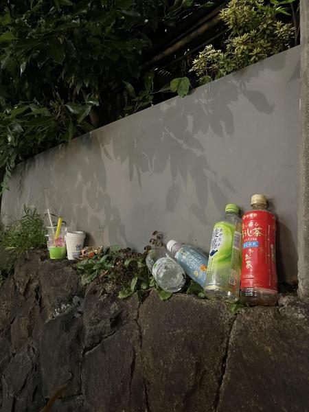 夏を感じた月曜おそうじ画像