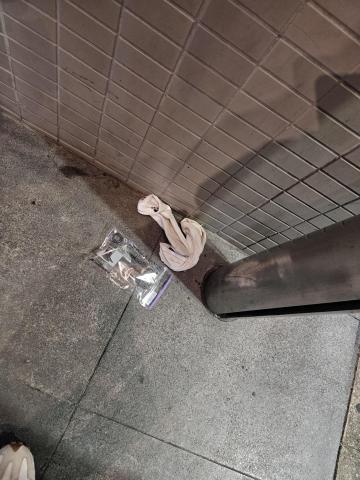 お久しぶりがいっぱい