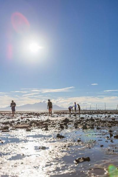 ジンベエ像Beach Cleanコラボ掃除開催！画像