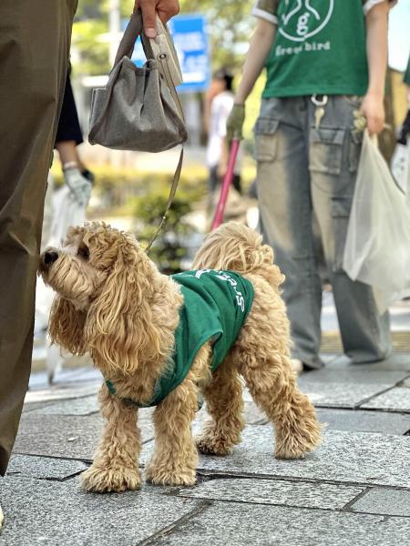 たまに登場するスペシャルゲスト！画像