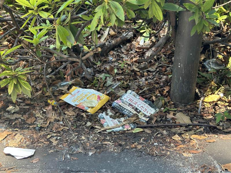 たまに登場するスペシャルゲスト！画像