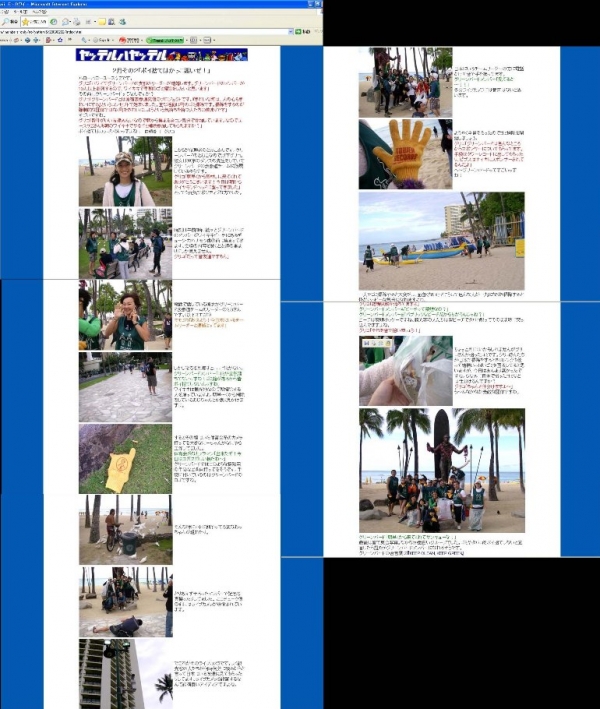 モーハワイwebサイト画像