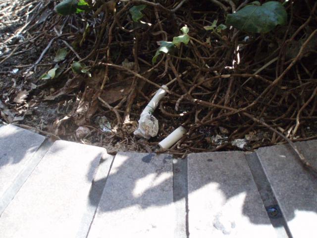 青島太平洋マラソン掃除　レポート画像